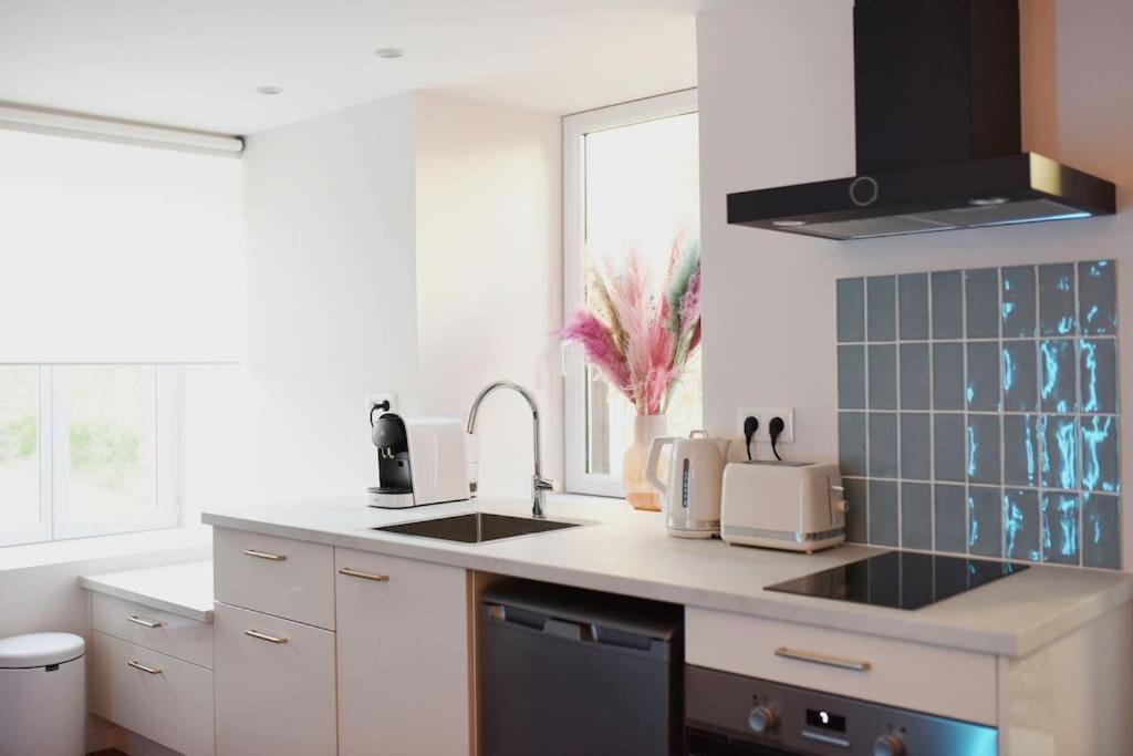 Appartement Aquaroom Rdc - Plage 50M - Rue Gratuite サン・マロ エクステリア 写真